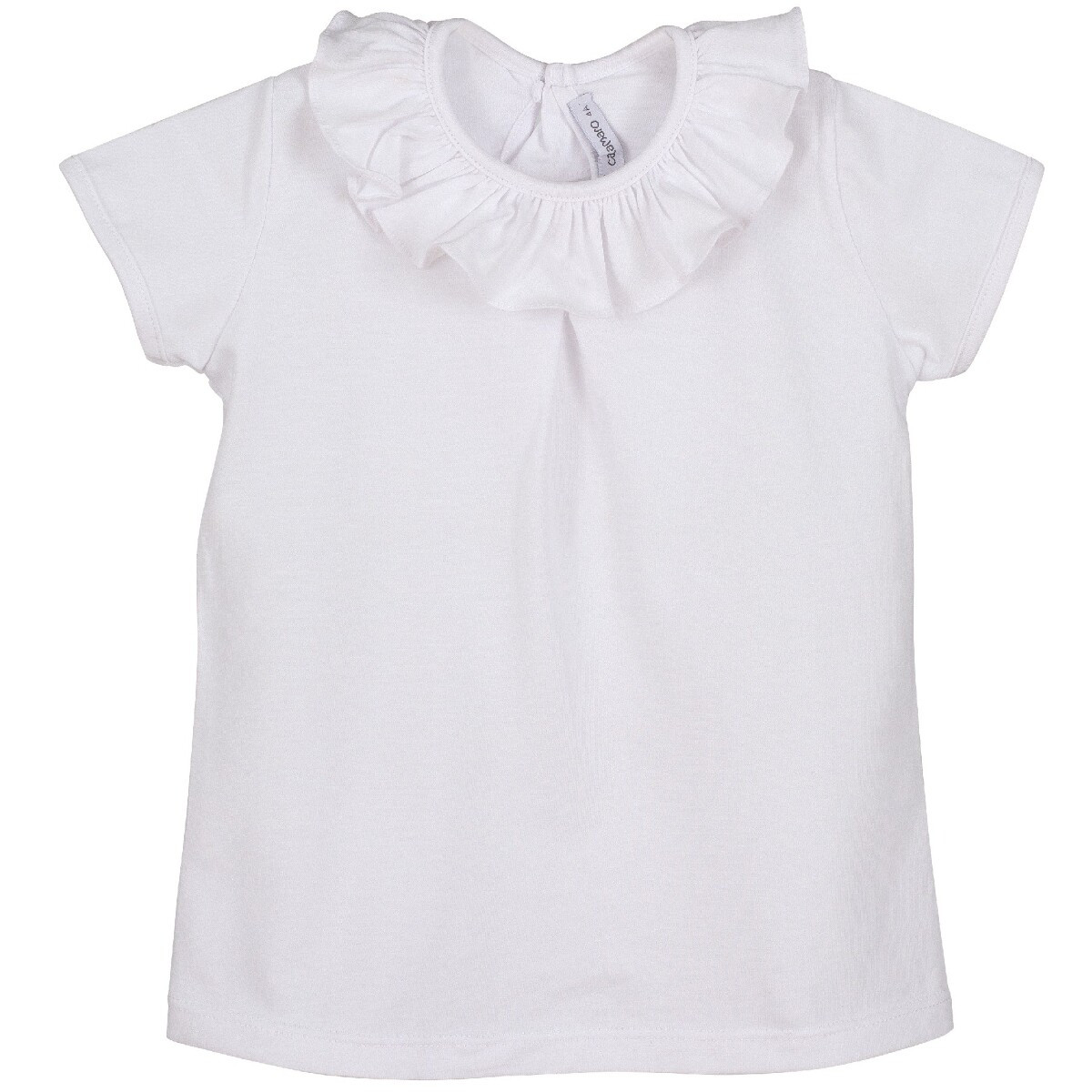 CAMISA TITAN MANGA CORTA