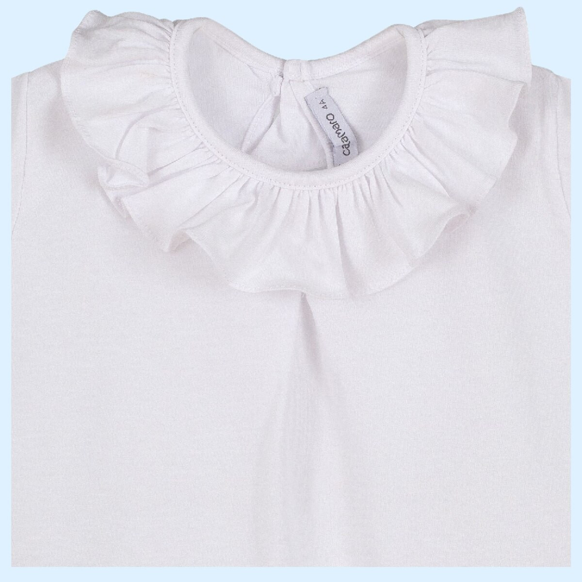 CAMISA TITAN MANGA CORTA