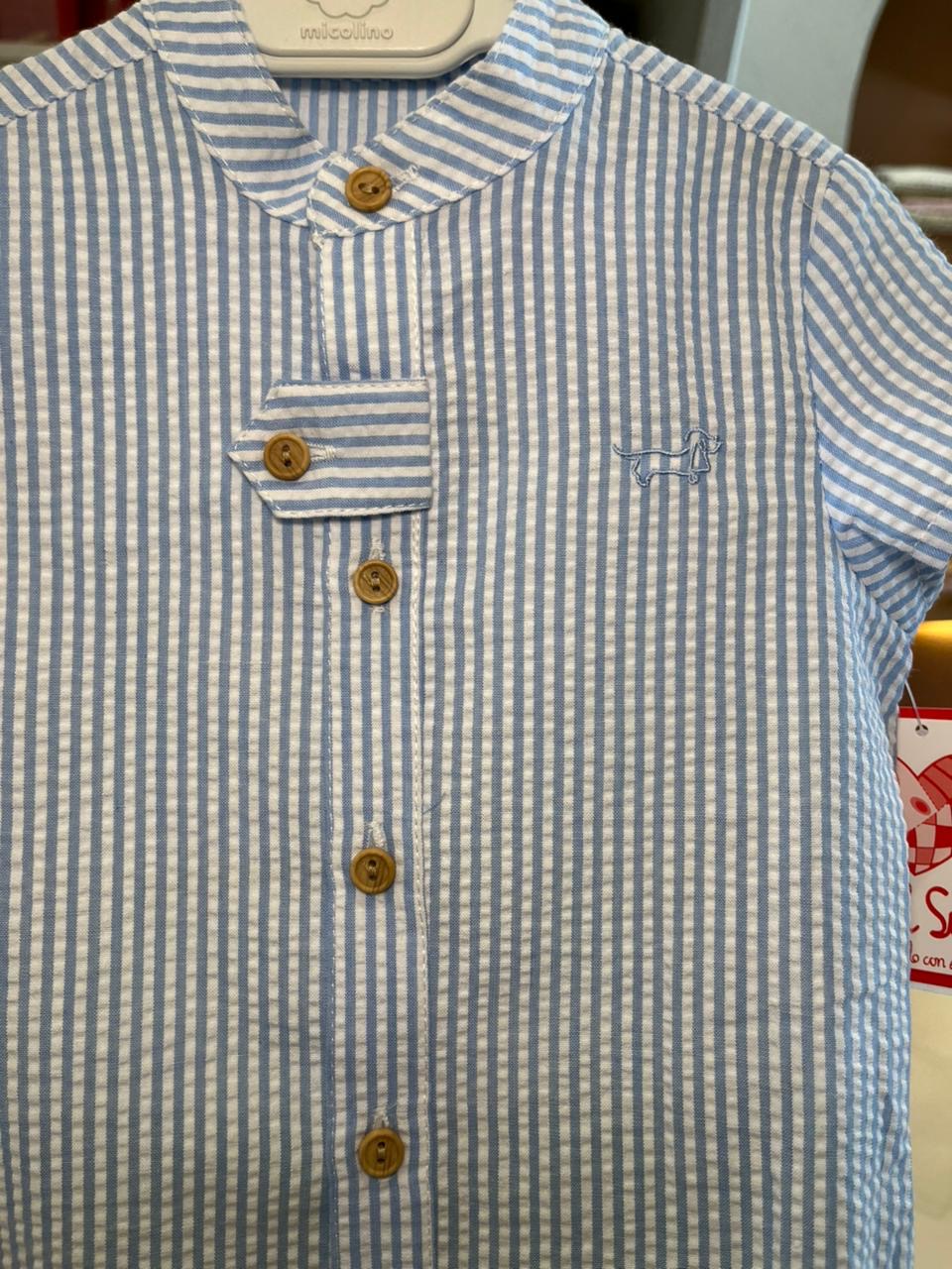 Conjunto Familia Pisa Verde