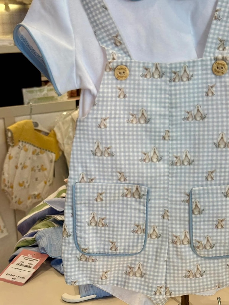 Conjunto Ranita Arcilla Azul empolvado