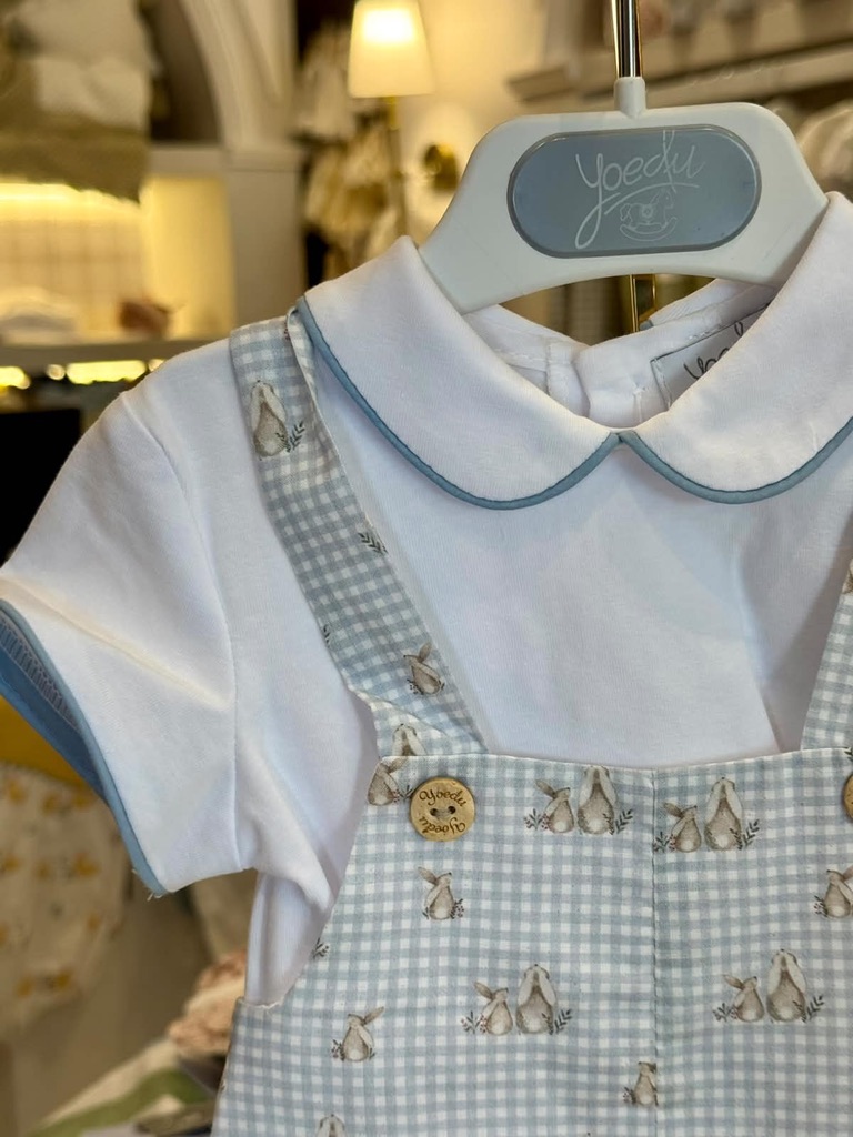 Conjunto Ranita Arcilla Azul empolvado